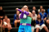 Rome Free Academy Guard_250215_Corning Finals-01528