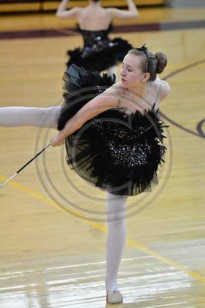 Northwestern Lehigh Twirlers-393
