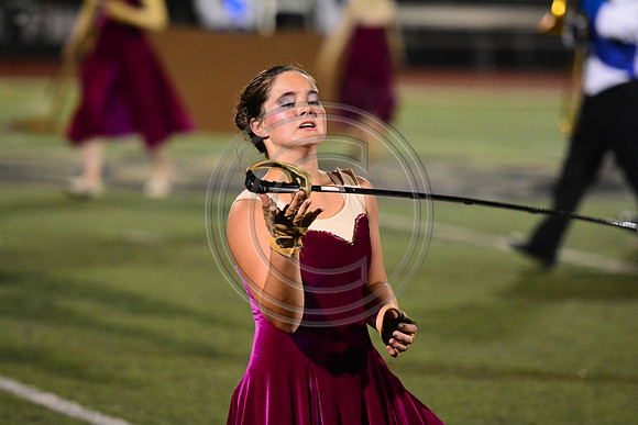 Nazareth Area High School  Blue Eagle-1246