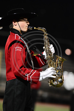 Saucon Valley High School Panthers Marching Band-247