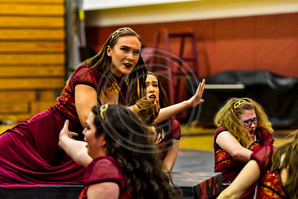 Avon Grove Maroon Guard_180317_Avon Grove-3-2