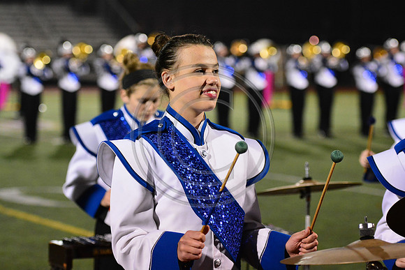 Nazareth Area High School  Blue Eagle-1237
