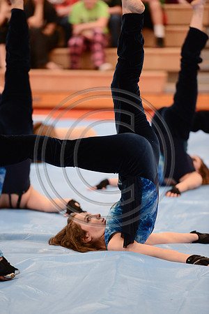 Haddon Heights High Voltage Guard-699