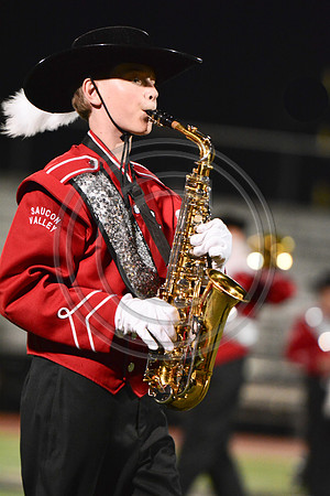 Saucon Valley High School Panthers Marching Band-246