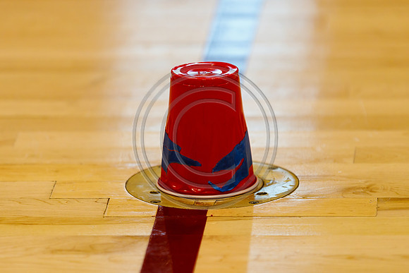 Our_Lady_of_Good_Counsel_Guard_230204_Hillsborough-JB00004
