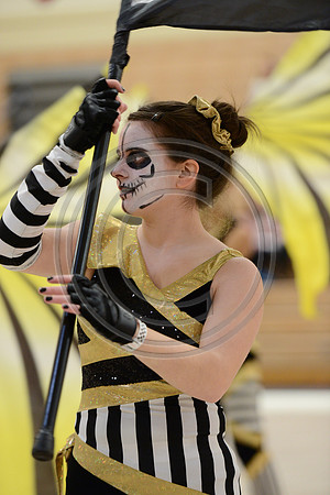 Bloomfield Guard-575