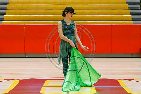 Our_Lady_of_Good_Counsel_Guard_230204_Hillsborough-JB00007