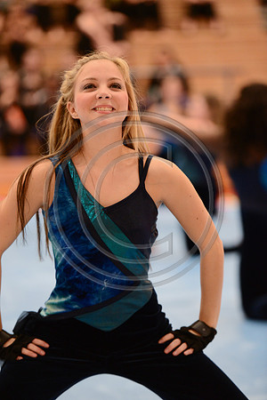 Haddon Heights High Voltage Guard-703