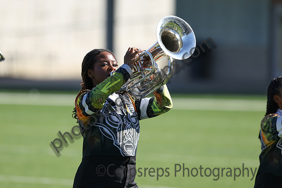 Magnolia West_241109_ Katy-cb00029