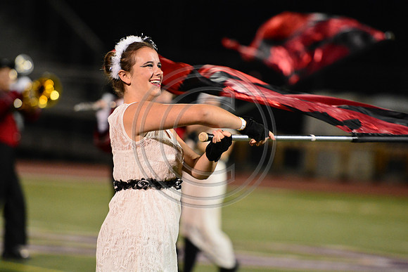 Saucon Valley High School Panthers Marching Band-235