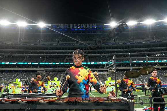 Hillsborough_241012_MetLife Stadium-02666