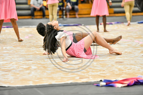 N-8 Winterguard Novice_190413_South Brunswick-4216