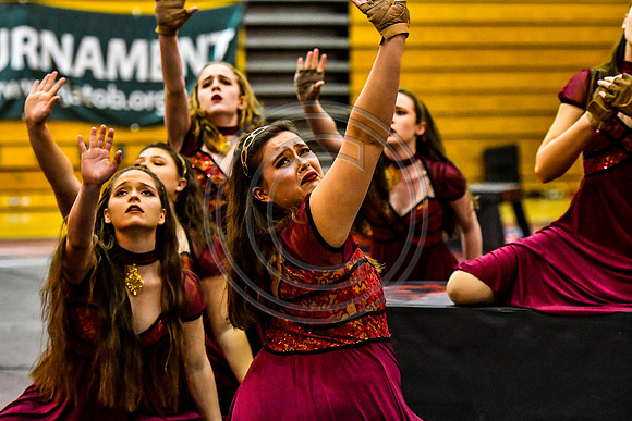 Avon Grove Maroon Guard_180317_Avon Grove-3-3