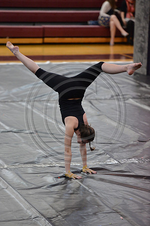Lackawanna Trail Guard-591