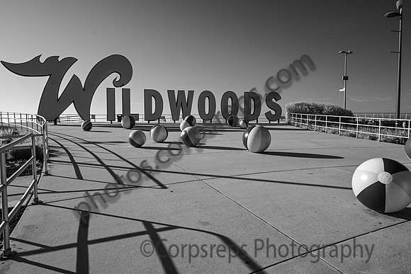 _240502_Wildwood-XX00022