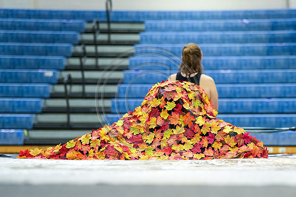 Phoenixville Guard_220122_Spring-Ford-00924