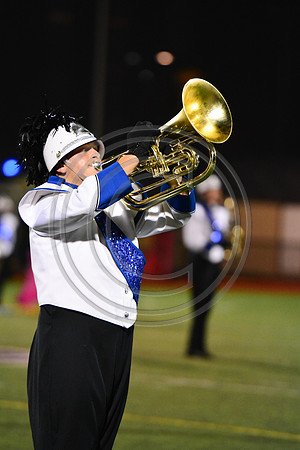 Nazareth Area High School  Blue Eagle-1248