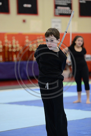 Haddon Heights Synergy Guard-100