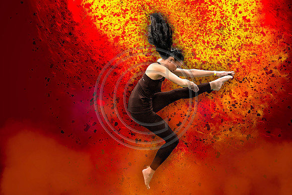Fusion Guard-004