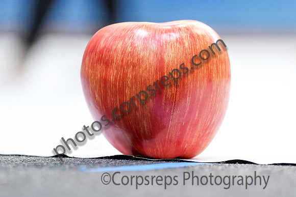 Quakertown Guard_250125_Spring-Ford-00408