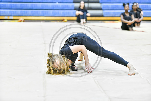 Abington Guard_190126_Spring-Ford-1050