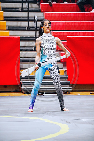 N-8 Winterguard_190202_Hillsborough-2-34