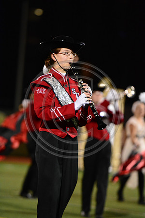 Saucon Valley High School Panthers Marching Band-240