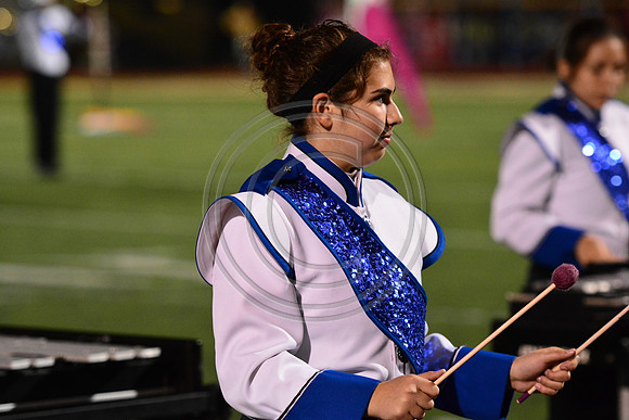Nazareth Area High School  Blue Eagle-1235