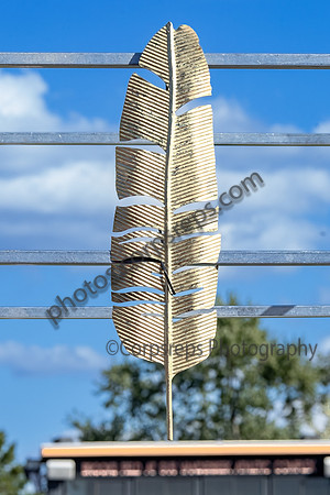 Immaculata Band_241005_Somerville High School-JB00303