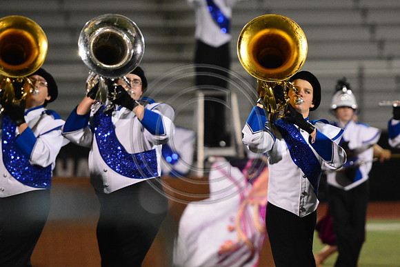 Nazareth Area High School  Blue Eagle-1228