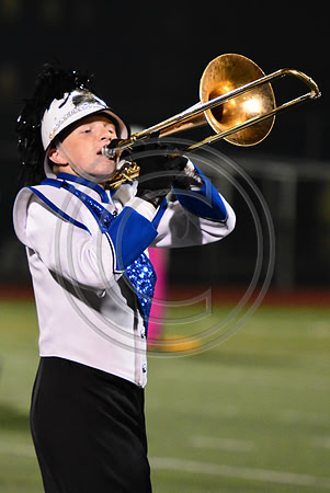 Nazareth Area High School  Blue Eagle-1207