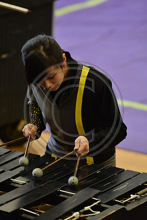 Haddon Heights Drumline-388