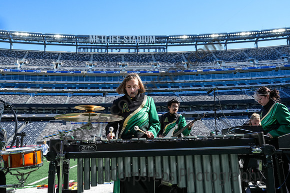 Audubon_241012_MetLife Stadium-00656