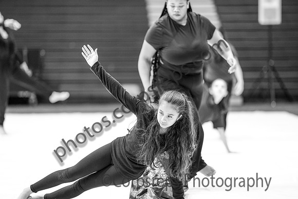 North Plainfield Guard_250208_Council Rock South-01173
