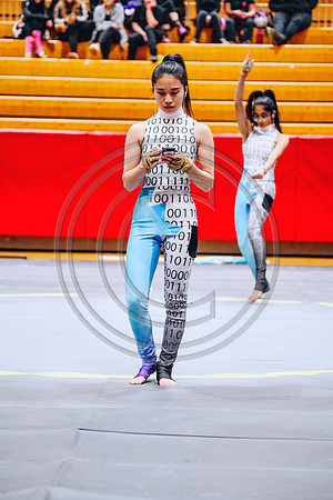 N-8 Winterguard_190202_Hillsborough-2-3