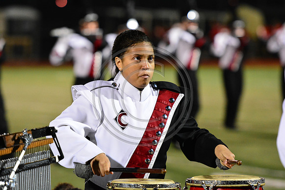Coatesville Area High School Red Raiders-702