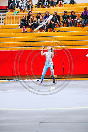 N-8 Winterguard_190202_Hillsborough-2-36