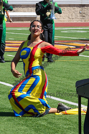 Birdville_240928_Saginaw-LT14