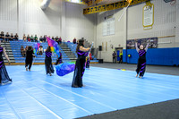 Surge Independent Guard_250125_Spring-Ford-00858