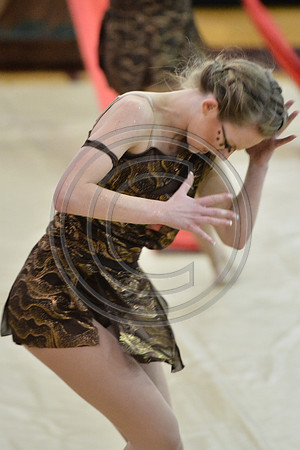 Rhythm in Motion Open Dance-340