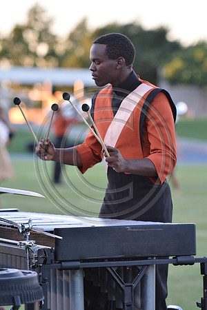 Mandarins-Clovis-612