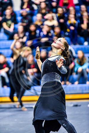 Delazure_180127_Spring-Ford-8957