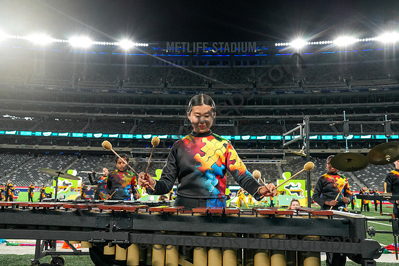 Hillsborough_241012_MetLife Stadium-02665