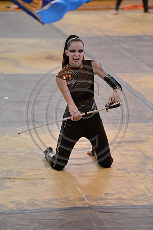 Classics Guard-739