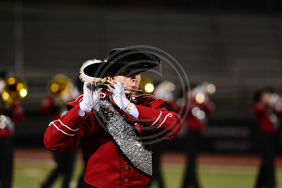 Saucon Valley High School Panthers Marching Band-225