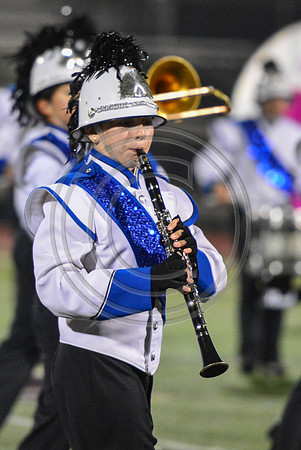 Nazareth Area High School  Blue Eagle-1225
