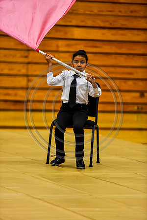 Pegasus Too JR Guard-022