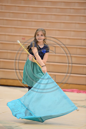 Haddon Heights Short Circuit Guard-022