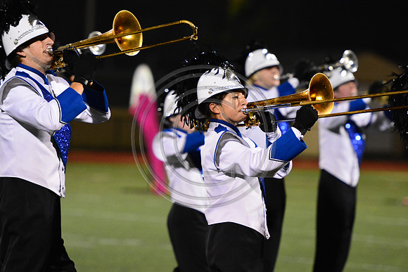 Nazareth Area High School  Blue Eagle-1209