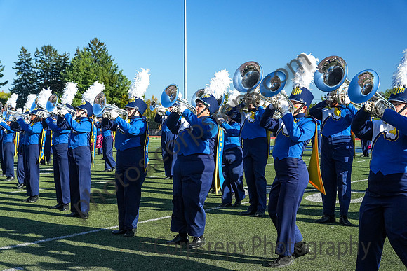 University of New Haven_241006_Allentown-03122